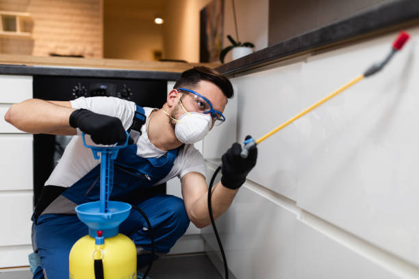Best Rat Extermination Near Me  in Bottineau, ND