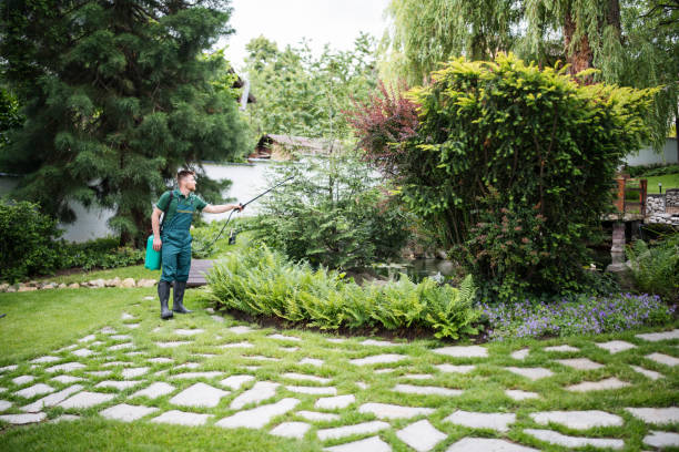 Best Best Pest Control Companies  in Bottineau, ND