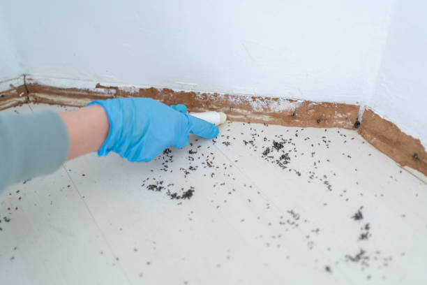Pest Control for Restaurants in Bottineau, ND